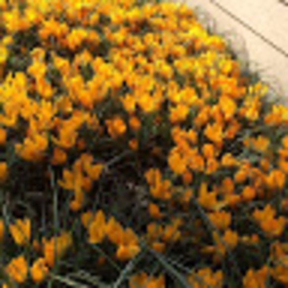 Meet your Posher, K - Picture 1 of 1